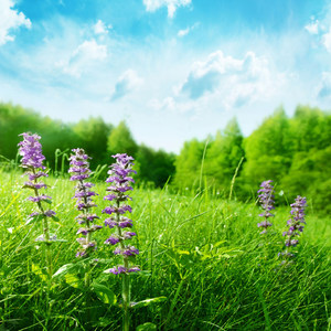 猛女出山当辣个当