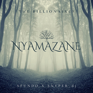 Nyamazane (feat. MaBzar & Fredrum)