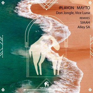 Playon Mayto (Alley SA Remix)