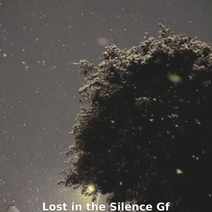 Lost In The Silence Gf