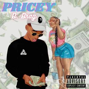 Pricey (Explicit)