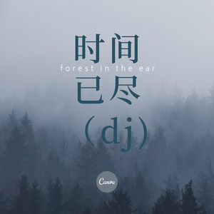 匆匆那年 (DJ版)