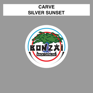 Silver Sunset