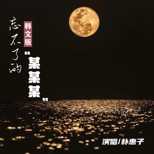 忘不了的某某某DJ (韩文女版) - 朴惠子封面