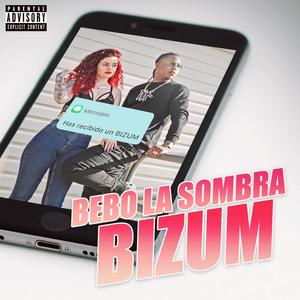 BIZUM (Explicit)