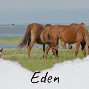 Eden