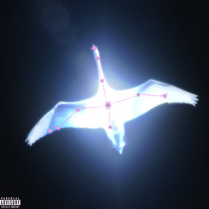 Cygnus (Explicit)