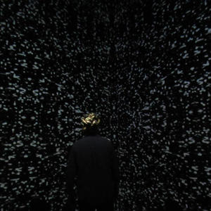 T H E W O M A N I W I L L N E V E R H A V E