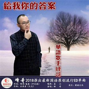 给我你的答案