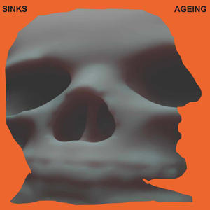 distortion, let's grow old together