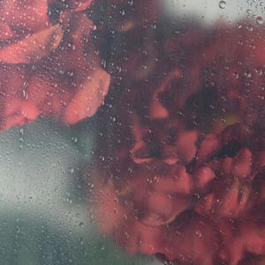 Rainy Days (feat. Peter Stone & Jeffrey Dragonfire) (Explicit)