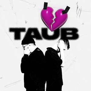 Taub (Explicit)