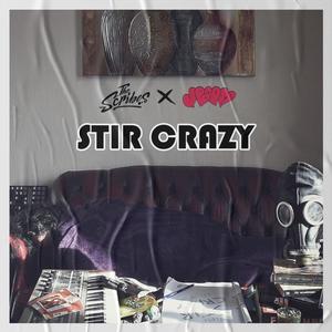 Stir Crazy (feat. Mr Teatime) [Explicit]