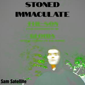 The Son (feat. Inconsistent me)