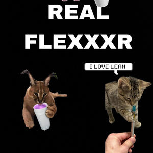 Real flxr (Explicit)