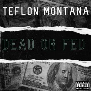 Trap Walls (Explicit)