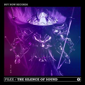 The Silence Of Sound