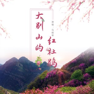 大别山的红杜鹃