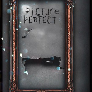 Picture Perfect (Explicit)