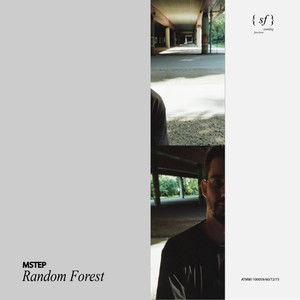 Random Forest