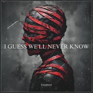 I GUESS WE'LL NEVER KNOW