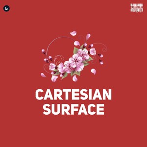 Cartesian Surface (Interlude)