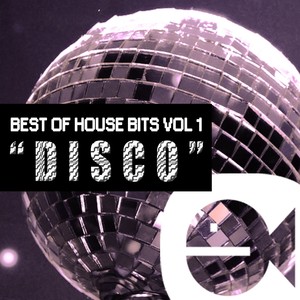 Best of House Music Bits Vol 1 - Disco