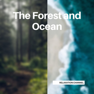 Beach Waves(Loopable)