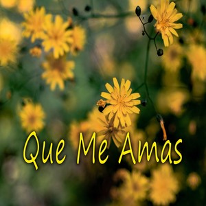 Que Me Amas
