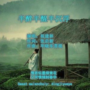 半醉半醒半沉浮 (Live)