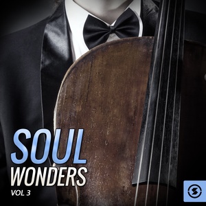 Soul Wonders, Vol. 3