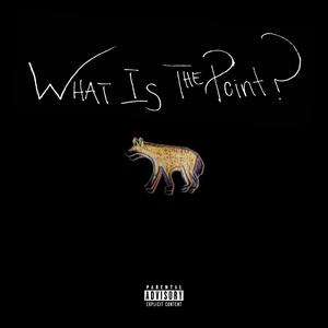 What is the Point? (Explicit)