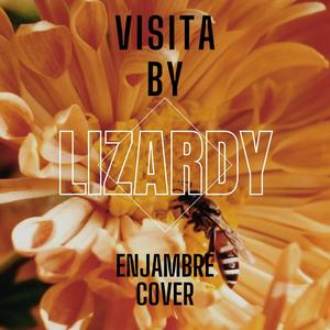 Visita