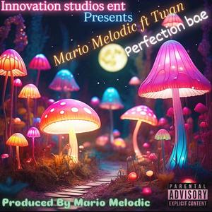 Perfection Bae (feat. Twan) (Explicit)