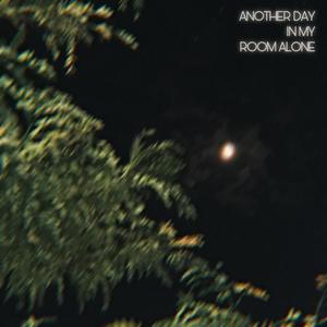 Another Day in My Room Alone (Explicit)