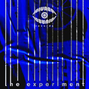 The Experiment