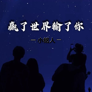 赢了世界输了你