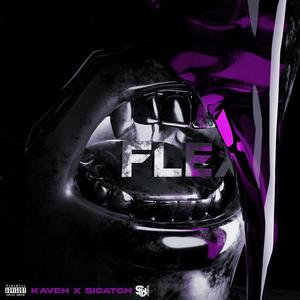 FLEX (Explicit)