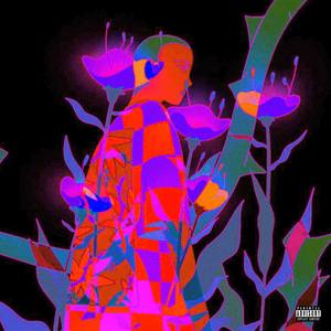 Salsa(feat. 999AKIRA) (Explicit)