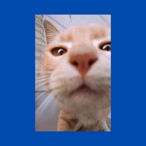 SUSSY BAKA (Sped Up)