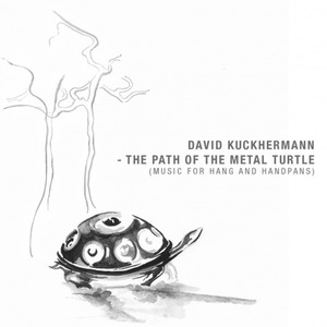 The Path Of The Metal Turtle
