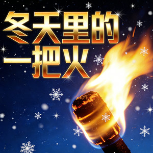 冬天里的一把火封面