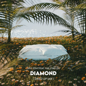 Diamond (Speed Up Mix)