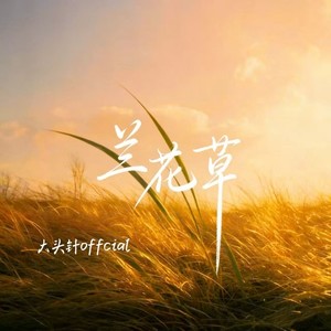 大头针 Official - 兰花草 (烟嗓男版)