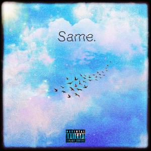 Same. (Explicit)
