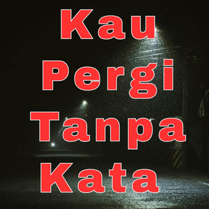 Kau Pergi Tanpa Kata