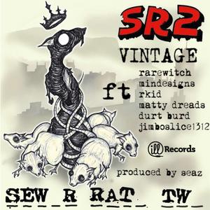 Vintage (feat. Rare Witch, Mindesigns, Rkid, Matty Dreads, Durt Burd & Jimbo Slice) (Explicit)