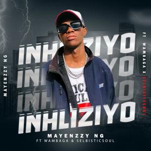 Inhliziyo (feat. Wambaga & Selbisticsoul)