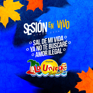 AMOR ILEGAL (En vivo)