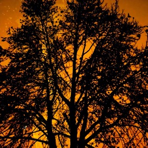 Agaaz [feat. Jayesh Malani, Jason Zachariah, Yadhunandan Nagaraj & Kaushik Kumar] (Live)